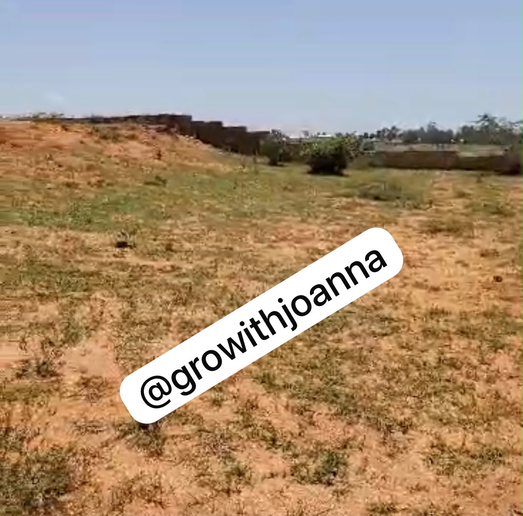 Photo of land purchased with income from the PDF business